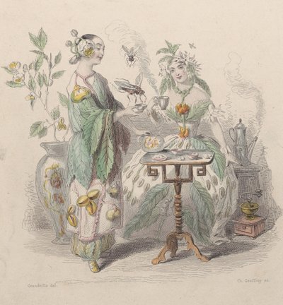 Tea és kávé, Les Fleurs Animées, 1847. alkotó: Charles Michel Geoffroy
