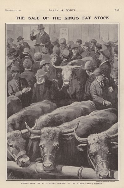 A windsori királyi farmokról származó marhák eladók a Slough marhapiacon, Berkshire (litho) alkotó: Charles Mills (after) Sheldon