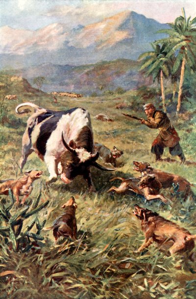 Vadmarha vadászat Haitin alkotó: Charles Mills Sheldon