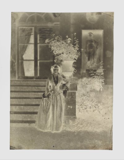 Női portré, feltehetően Mme Ernest Feydeau alkotó: Charles Nègre