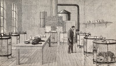 Kutyák ketrecben Louis Pasteur (1822-1895), francia kémikus és biológus laboratóriumában, Párizs, Franciaország, metszet a L