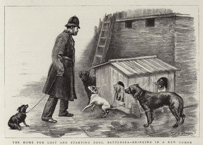 Az elveszett és éhező kutyák otthona, Battersea, új jövevényt hoz alkotó: Charles Paul Renouard