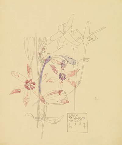 Ixias alkotó: Charles Rennie Mackintosh