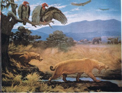 Szablyafogú macskák alkotó: Charles Robert Knight