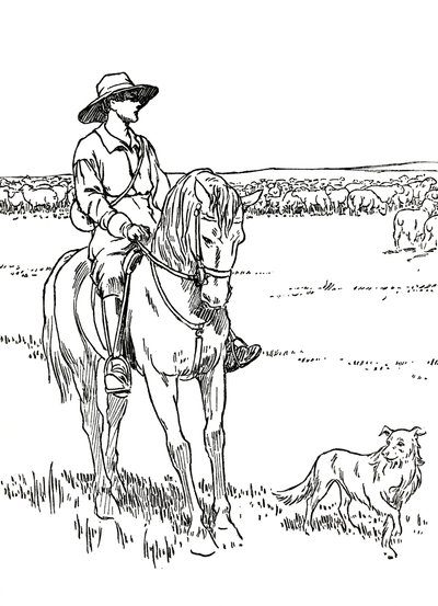 Egy birkaállomás Ausztráliában, 1912 alkotó: Charles Robinson