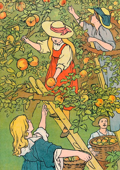 Gyümölcsszedés, 1912 alkotó: Charles Robinson