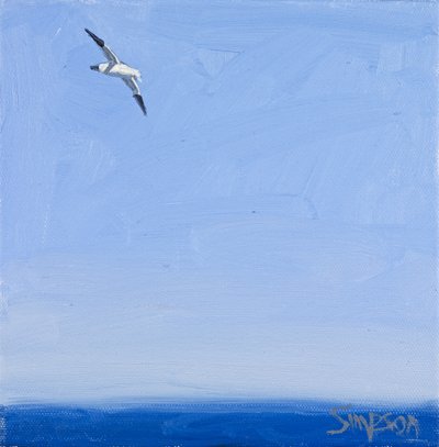 Gannet, 2010 (olaj, vászon) alkotó: Charles Simpson