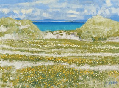 Glimpse of Harris, 2014 (olaj, vászon) alkotó: Charles Simpson