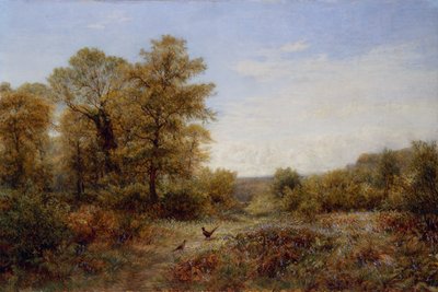 A fácán otthona (olaj, vászon) alkotó: Charles Thomas Burt