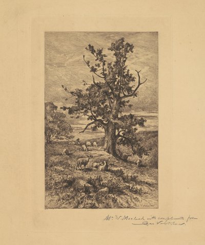 Táj juhokkal alkotó: Charles Volkmar