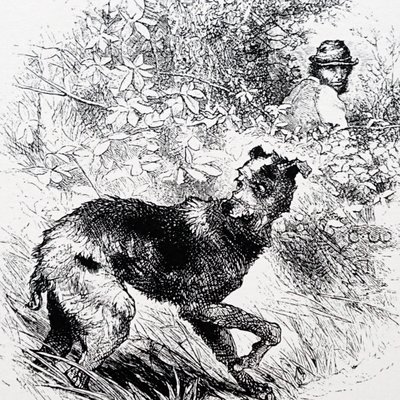 Egy orvvadász a lurcherével alkotó: Charles Whymper