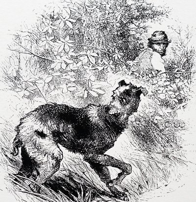 Egy orvvadász a lurcherével alkotó: Charles Whymper