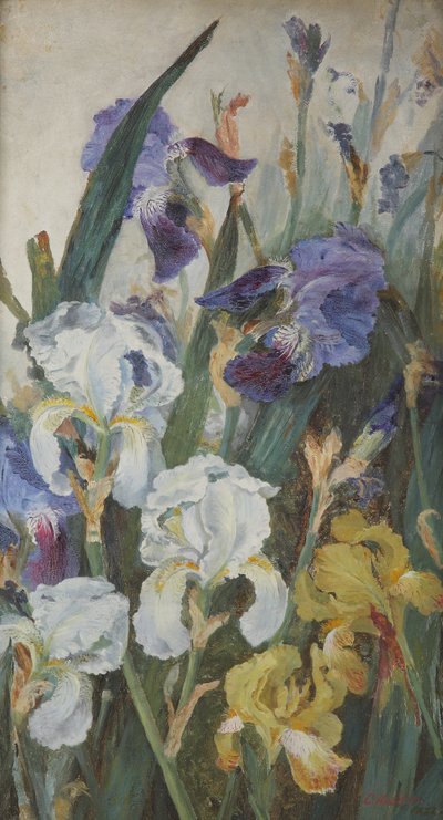 Íriszek, 1882 alkotó: Charlotte Hodder