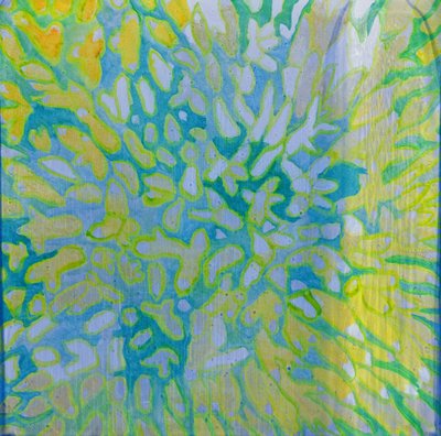 Acrapora, 2000 (olaj, gesso) alkotó: Charlotte Johnstone
