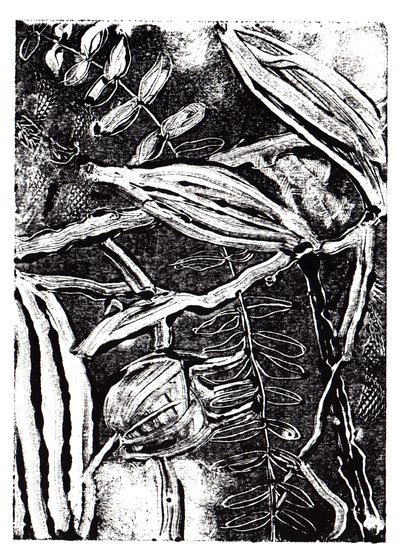 Inky Plants, 2019 (monoprint) alkotó: Charlotte Orr