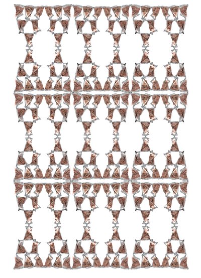 Tea Packaging Design, 2018 (tinta és akvarell) alkotó: Charlotte Orr