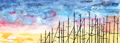 A sirály meséje, 2020 (akvarell és toll) alkotó: Charlotte Orr