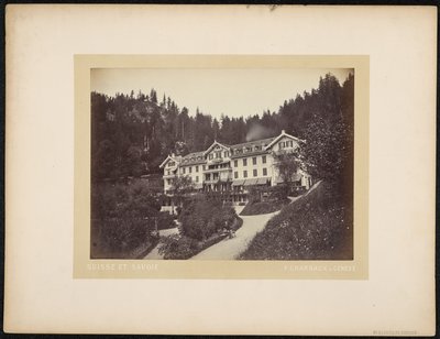 Hotel du Giessbach alkotó: Charnaux Frères and Cie.