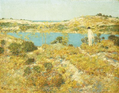 Dune Pool alkotó: Childe Frederick Hassam