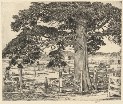Big Cedar, Wainscott, L. I., 1929 alkotó: Childe Hassam