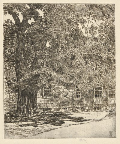 Óriás szil, 1929 alkotó: Childe Hassam