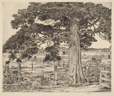 A nagy cédrus alkotó: Childe Hassam