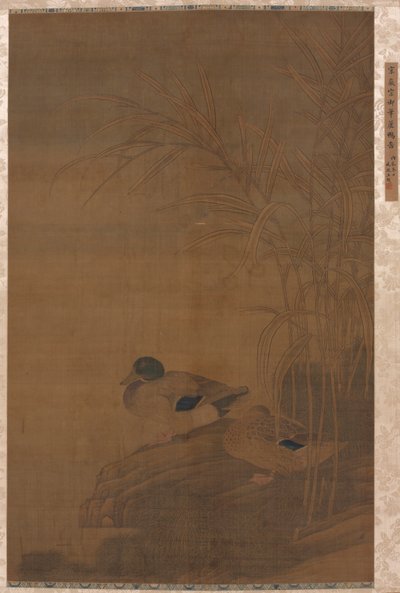 Kacsák Reeds alatt alkotó: China, Ming dynasty