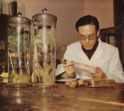 Kínai mezőgazdasági vegyész a Changchun Research Institute-ból, a Kínai Népköztársaságból, 1950-es évek alkotó: Chinese Photographer