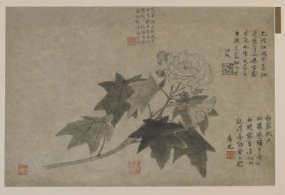 Erdei bazsarózsa ága, valószínűleg a Qing-dinasztia (tinta a papíron) alkotó: Chinese School
