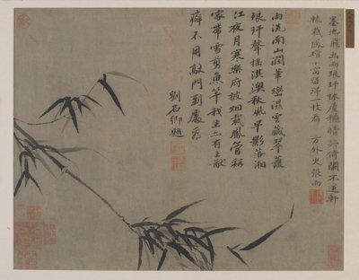 Bambuszpermet, esetleg Qing-dinasztia (tinta papíron) alkotó: Chinese School