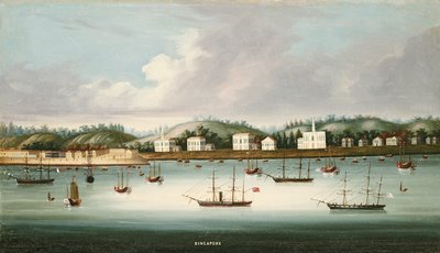 Szingapúr kilátása az utakról amerikai, francia és brit szállítmányozással, 1850 körül alkotó: Chinese School