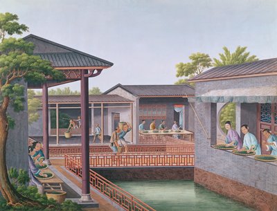 Osztályozó tea (wc papíron) alkotó: Chinese School