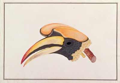 Nagy szarvascsőrű, a Madarak rajzaiból, 1805-1818 körül (wc papíron) alkotó: Chinese School