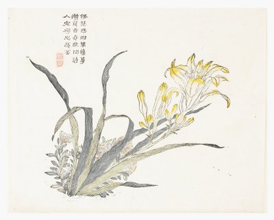 Mustármagos kert alkotó: Chinese School