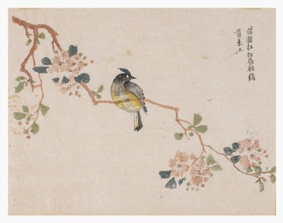 Mustármagos kert alkotó: Chinese School