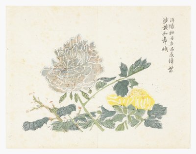 Mustármagos kert alkotó: Chinese School
