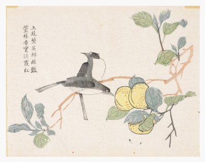 Mustármagos kert alkotó: Chinese School