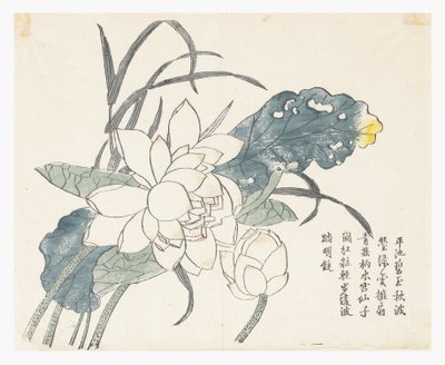 Mustármagos kert alkotó: Chinese School