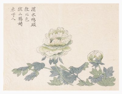 Mustármagos kert alkotó: Chinese School