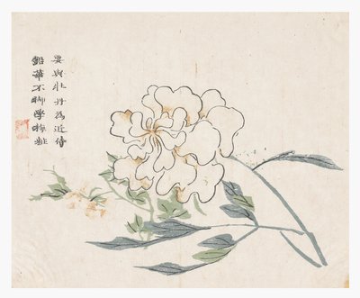 Mustármagos kert alkotó: Chinese School