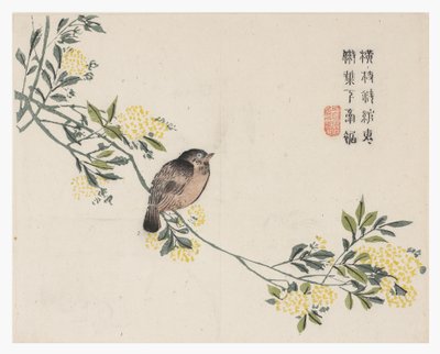 Mustármagos kert alkotó: Chinese School
