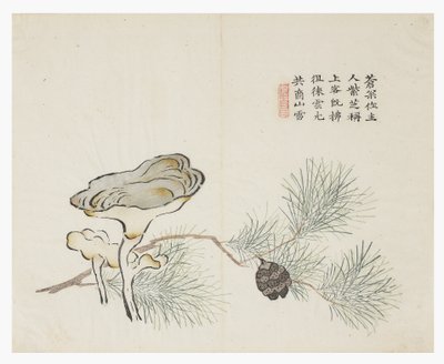 Mustármagos kert alkotó: Chinese School