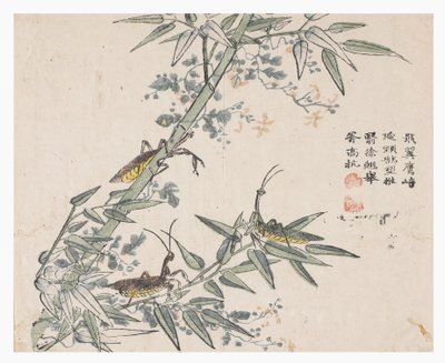 Mustármagos kert alkotó: Chinese School