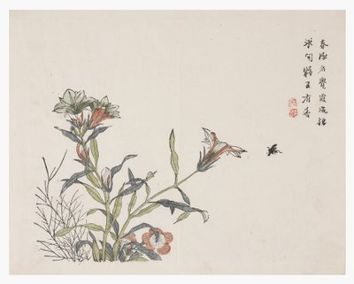 Mustármagos kert alkotó: Chinese School