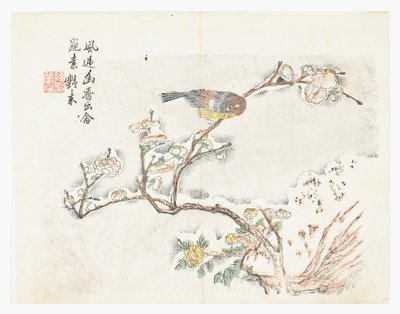 Mustármagos kert alkotó: Chinese School