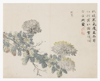 Mustármagos kert alkotó: Chinese School