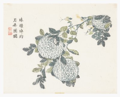 Mustármagos kert alkotó: Chinese School