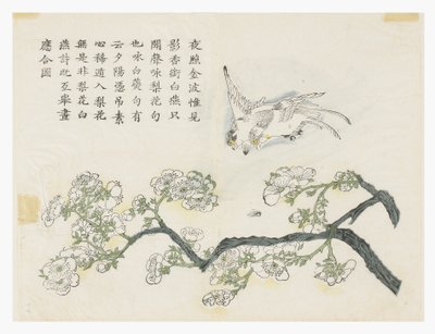 Mustármagos kert alkotó: Chinese School
