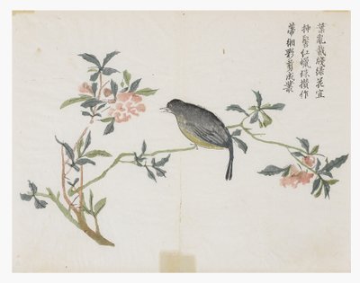 Mustármagos kert alkotó: Chinese School