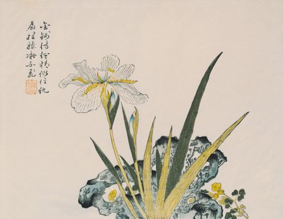 A kert akkora, mint egy mustárszem, 17-18. század alkotó: Chinese School